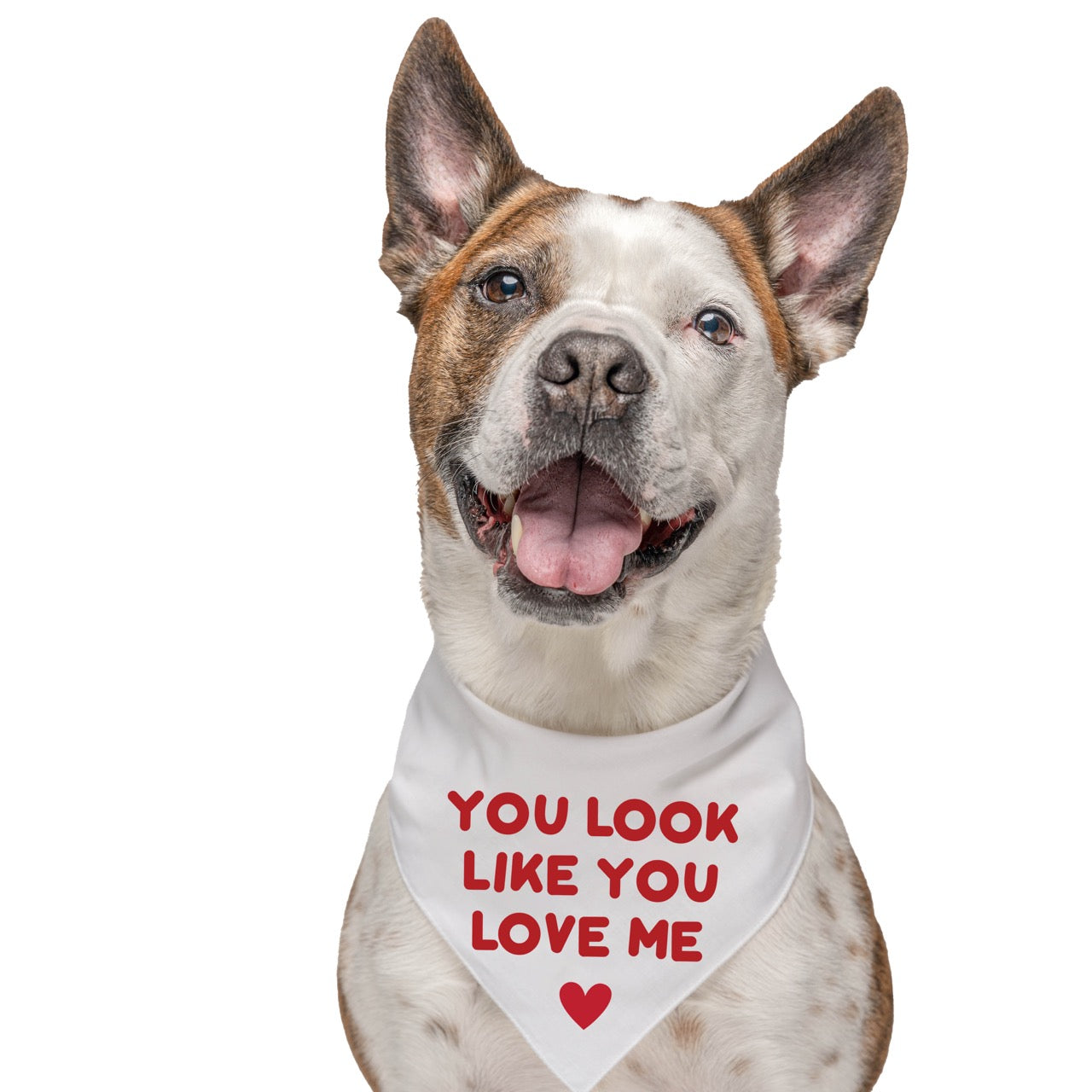 You Look Like You Love Me Dog Bandana | 100% Natural Cotton Triangle | Made in USA | Valentine’s Day Pet Outfit | Puppy Love Accessory