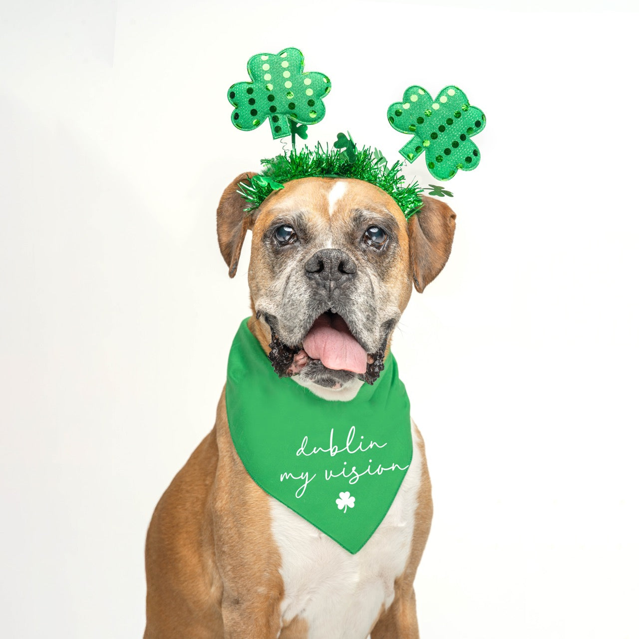 Dublin My Vision Dog Bandana | 100% Natural Cotton Triangle | Made in USA | St. Patrick’s Day Pet Outfit | Irish Pun Accessory