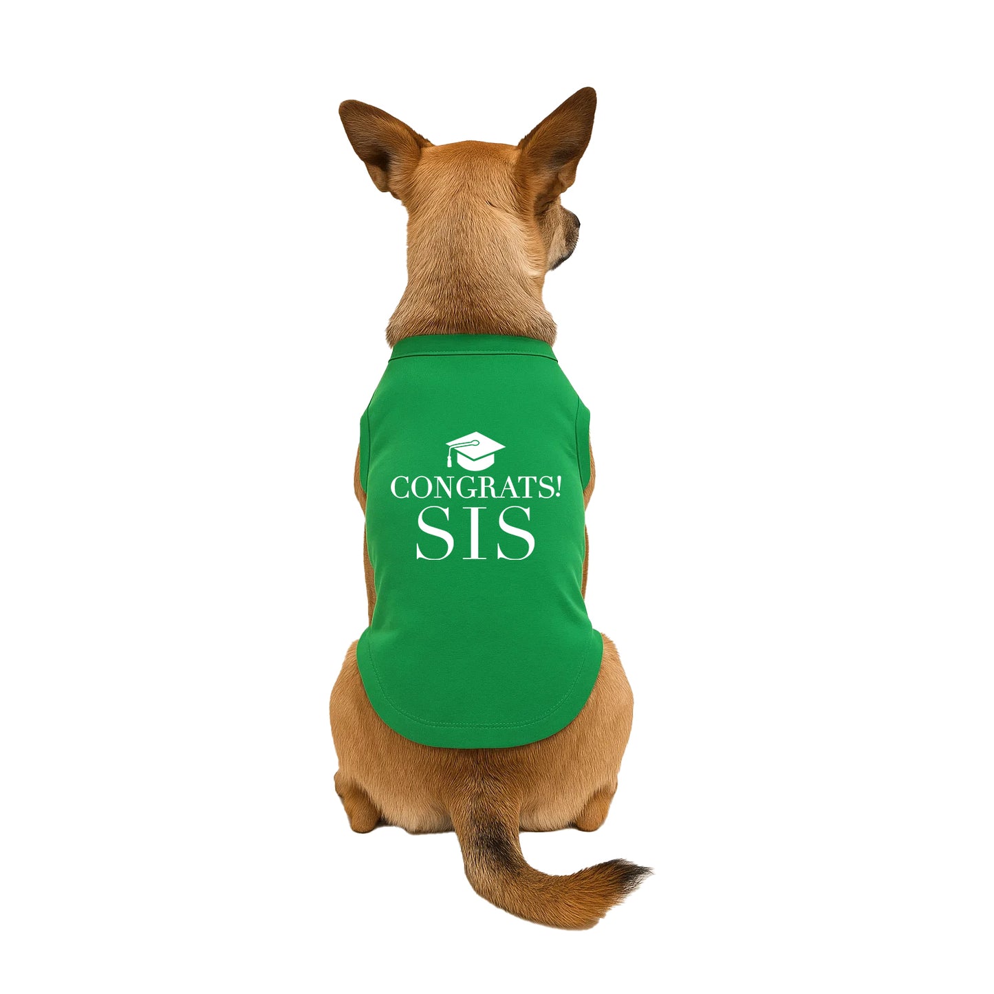 Congrats Sis Dog Tee | Graduation Dog Shirt