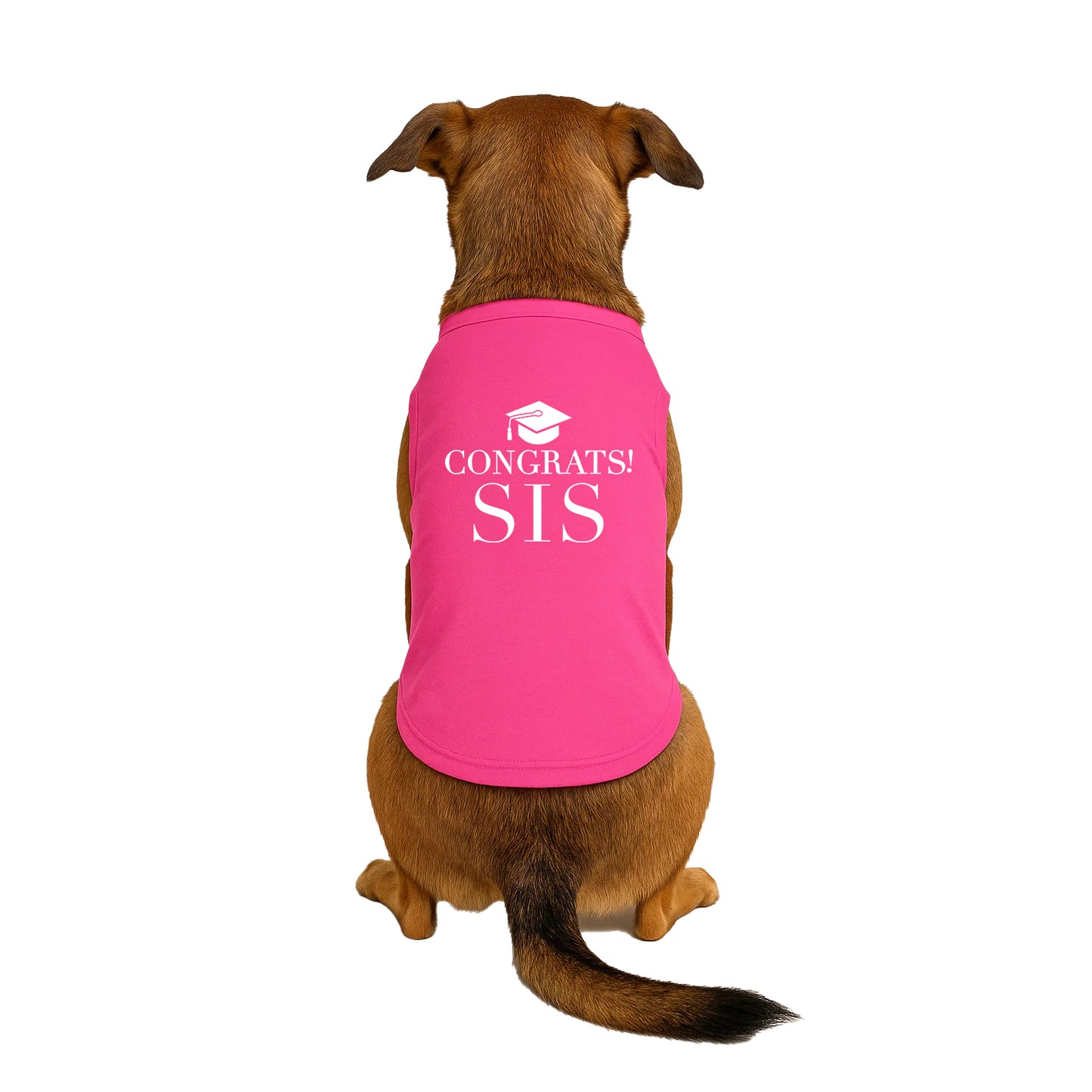 Congrats Sis Dog Tee | Graduation Dog Shirt