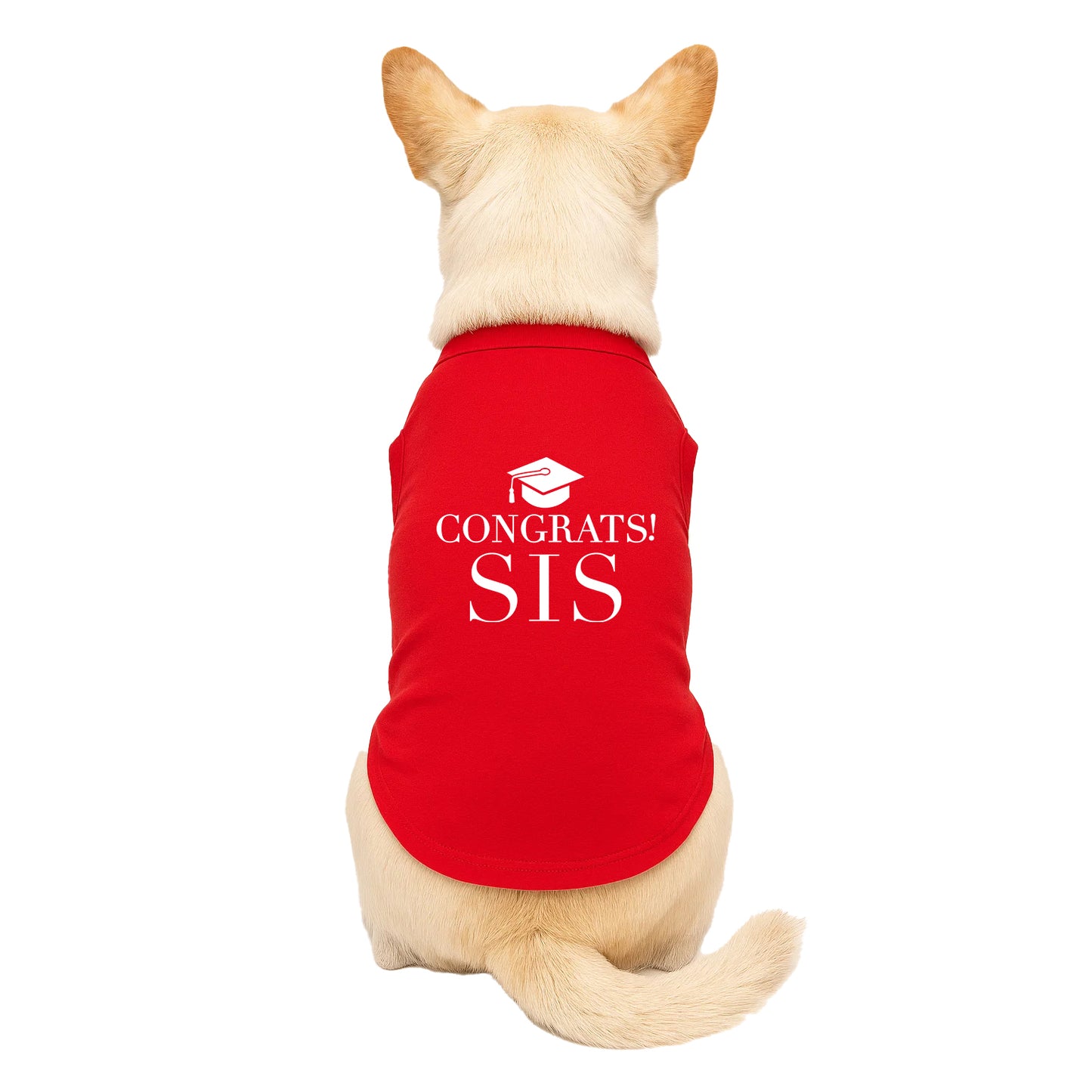 Congrats Sis Dog Tee | Graduation Dog Shirt