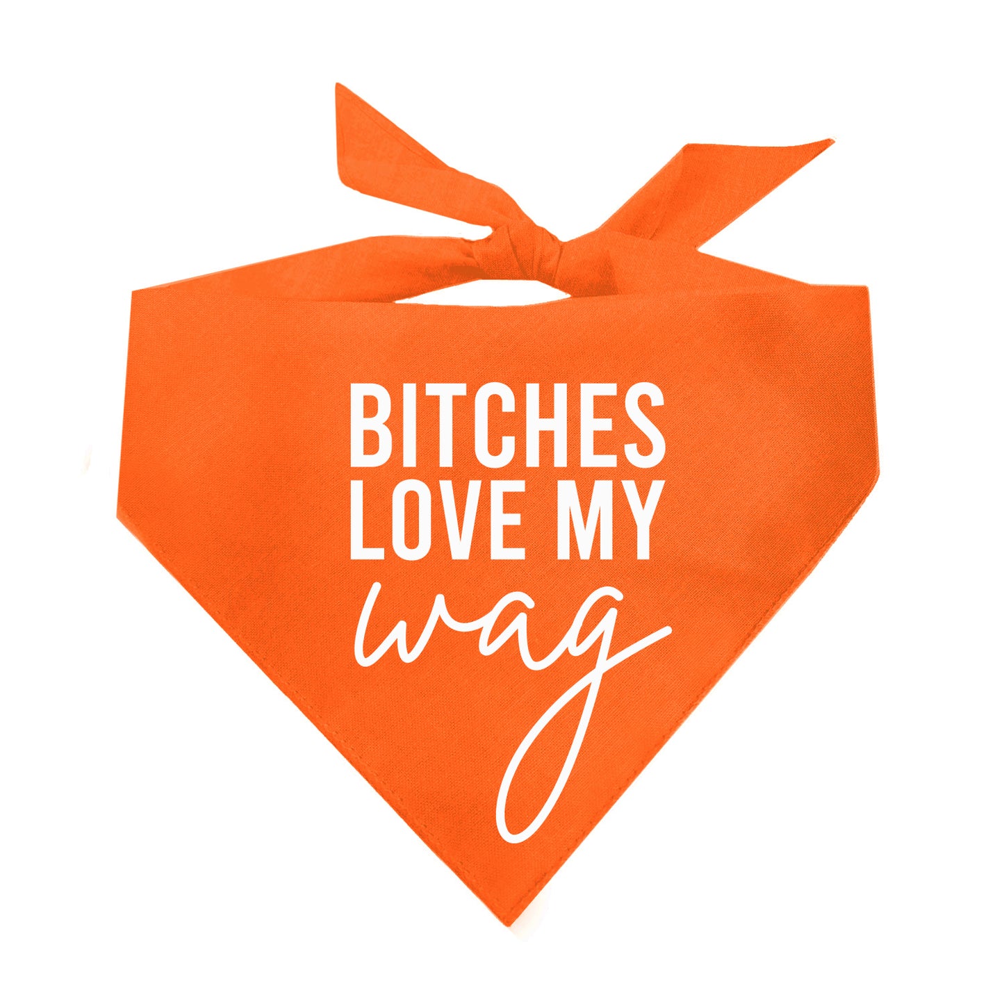 Bitches Love My Wag Triangle Dog Bandana (Assorted Colors)