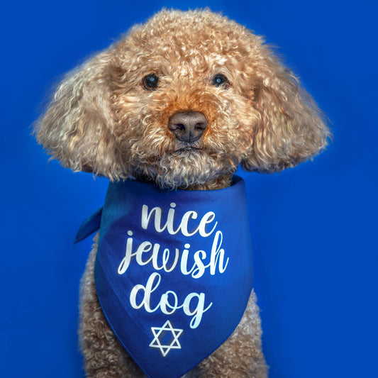 Nice Jewish Dog Hanukkah Triangle Dog Bandana
