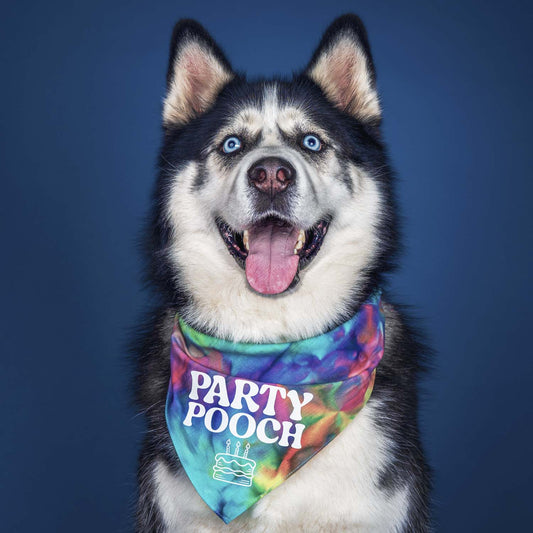 Party Pooch Scrunch Tie Dye Pattern Dog Bandana