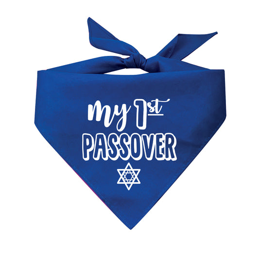 My First Passover Triangle Dog Bandana