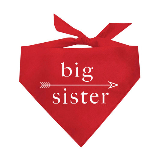 Big Sister Arrow Triangle Dog Bandana