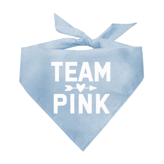 Team Pink Or Team Blue Triangle Dog Bandana (Sold Separately)