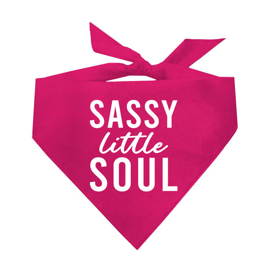 Sassy Little Soul Triangle Dog Bandana