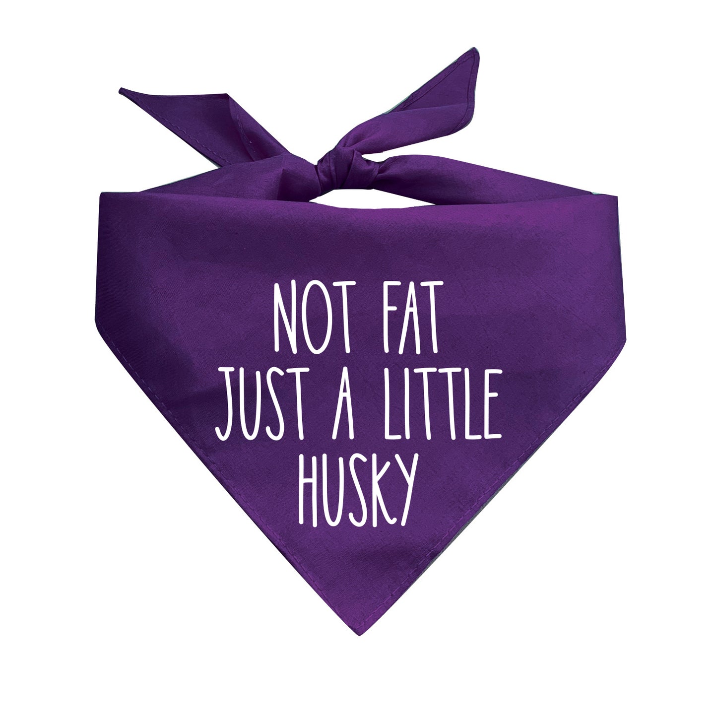 Not Fat Just A Little Husky Triangle Dog Bandana