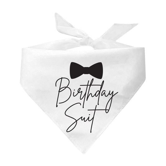 Birthday Suit With Bow Triangle Dog Bandana