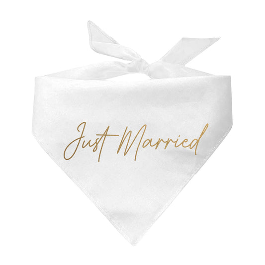 Just Married In Gold Triangle Dog Bandana