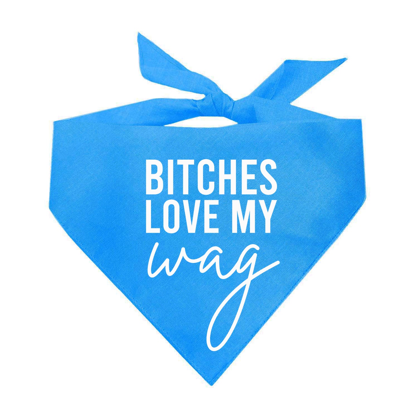 Bitches Love My Wag Triangle Dog Bandana (Assorted Colors)