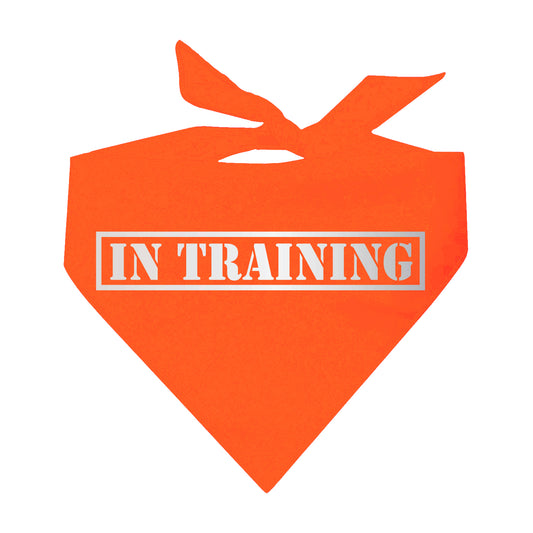 In Training Reflective Neon Triangle Dog Bandana