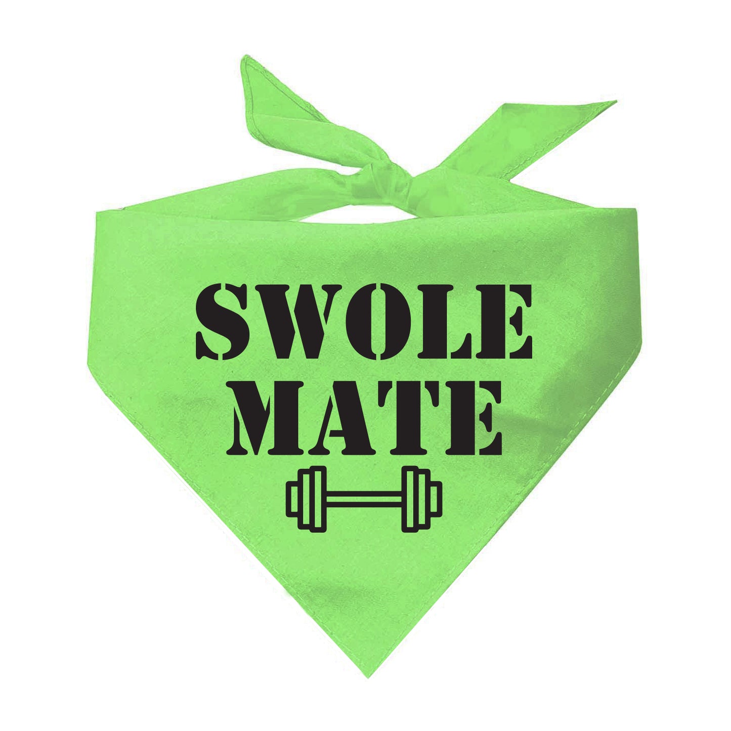 Swole Mate Training Buddy Triangle Dog Bandana