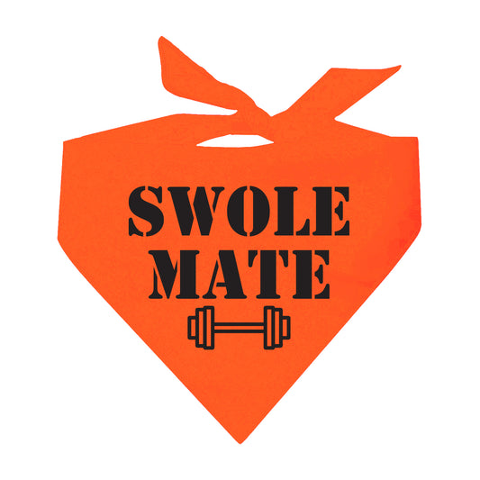 Swole Mate Barbell Neon Triangle Dog Bandana