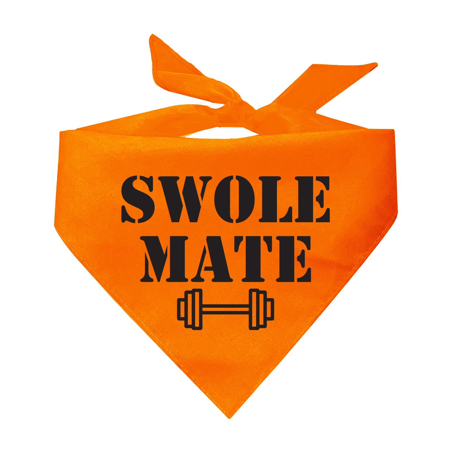 Swole Mate Training Buddy Triangle Dog Bandana
