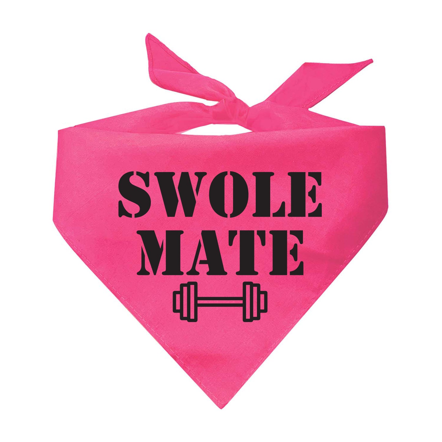 Swole Mate Training Buddy Triangle Dog Bandana