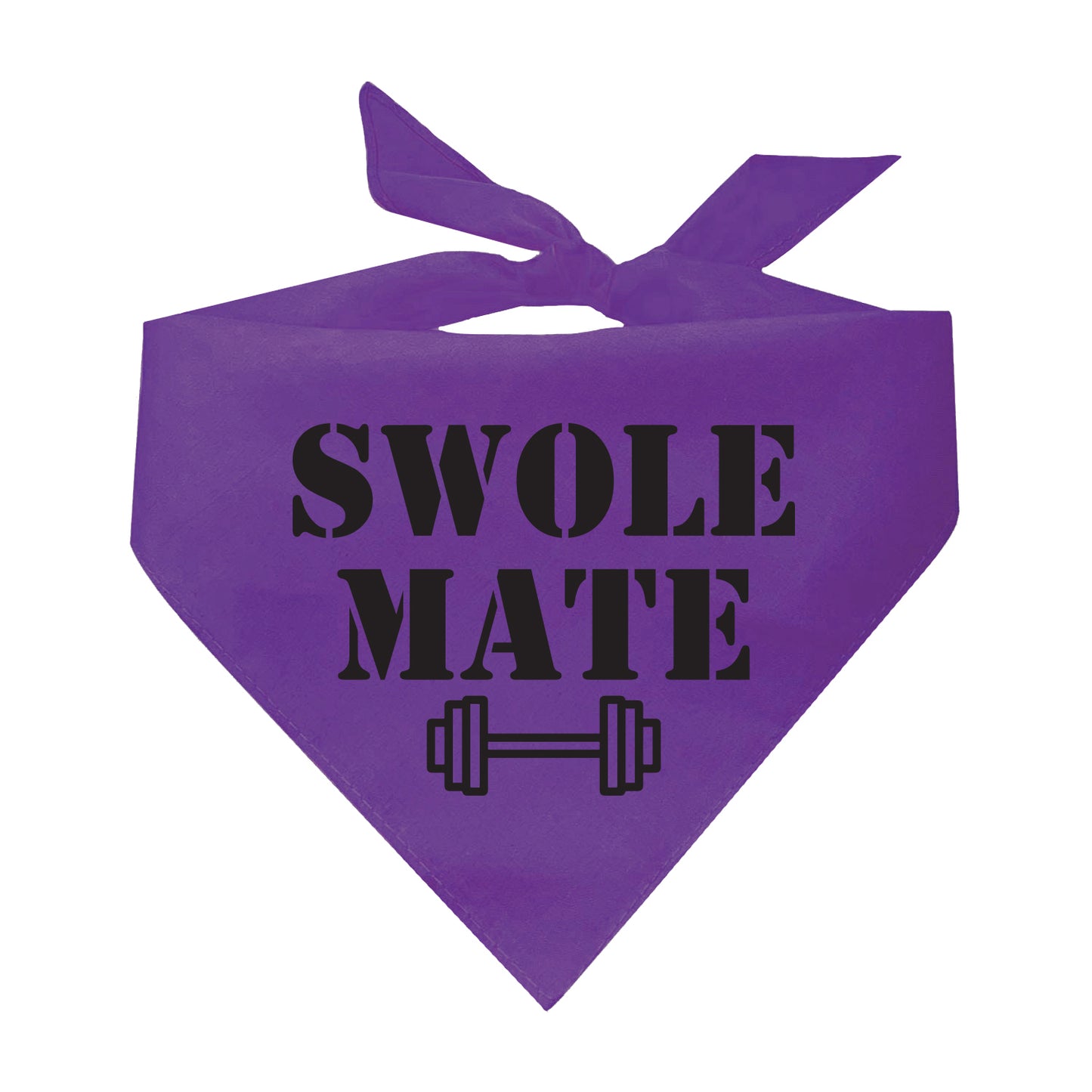 Swole Mate Training Buddy Triangle Dog Bandana