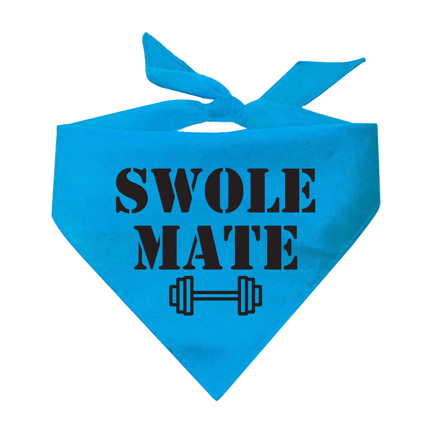 Swole Mate Training Buddy Triangle Dog Bandana