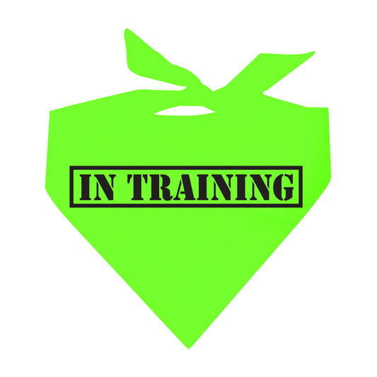In Training Neon Triangle Dog Bandana