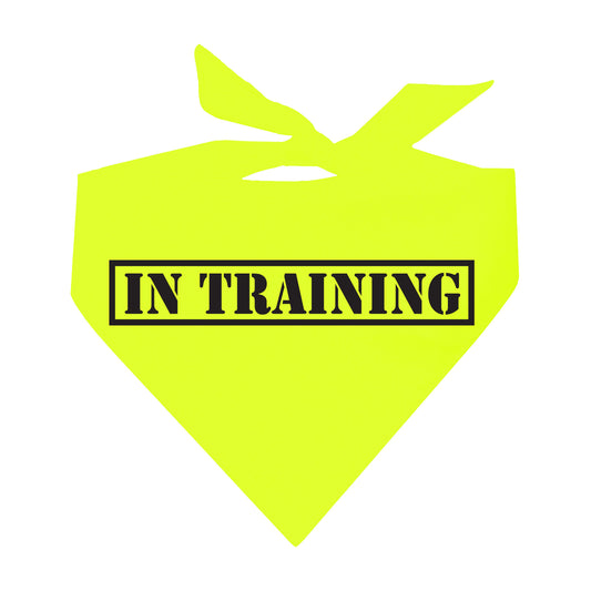 In Training Neon Triangle Dog Bandana