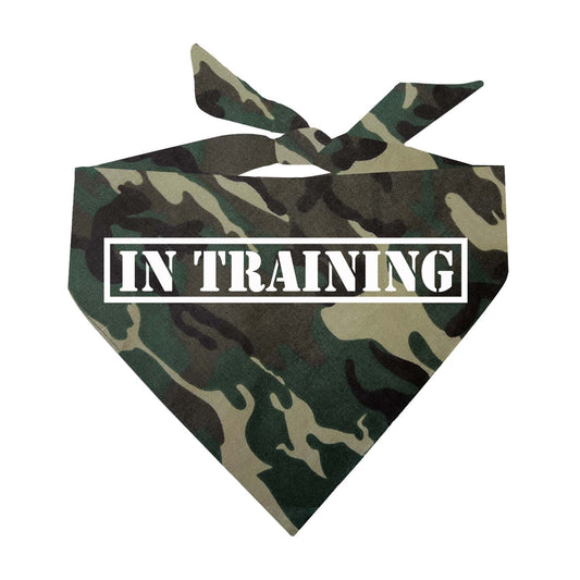 In Training Triangle Dog Bandana